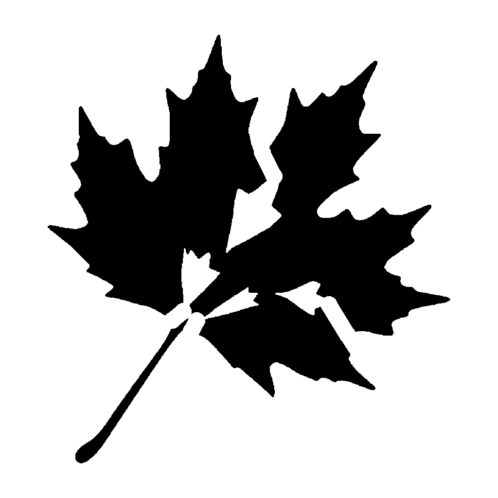 Autumn Leaf pumpkin carving stencil, easy · design 3