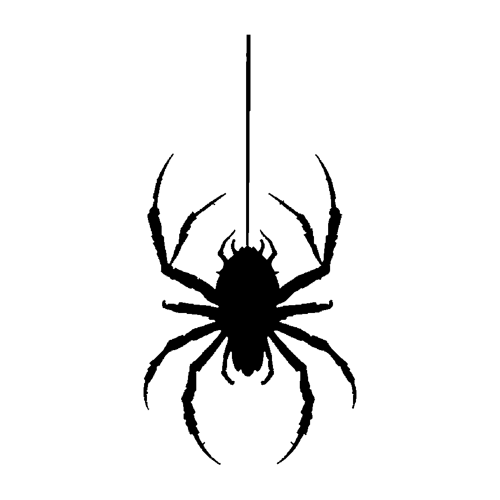 Spider pumpkin carving stencil, medium