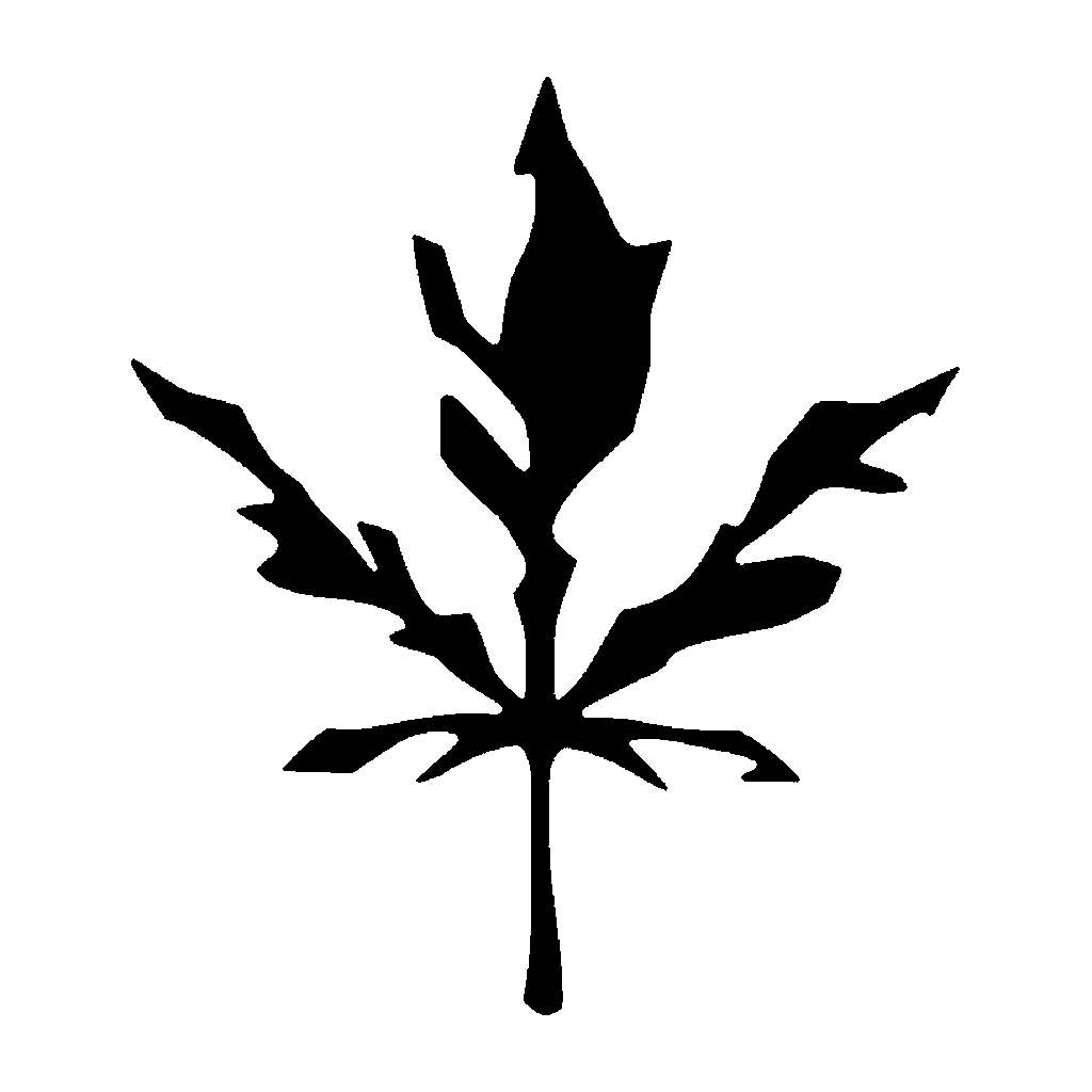 Autumn Leaf pumpkin carving stencil