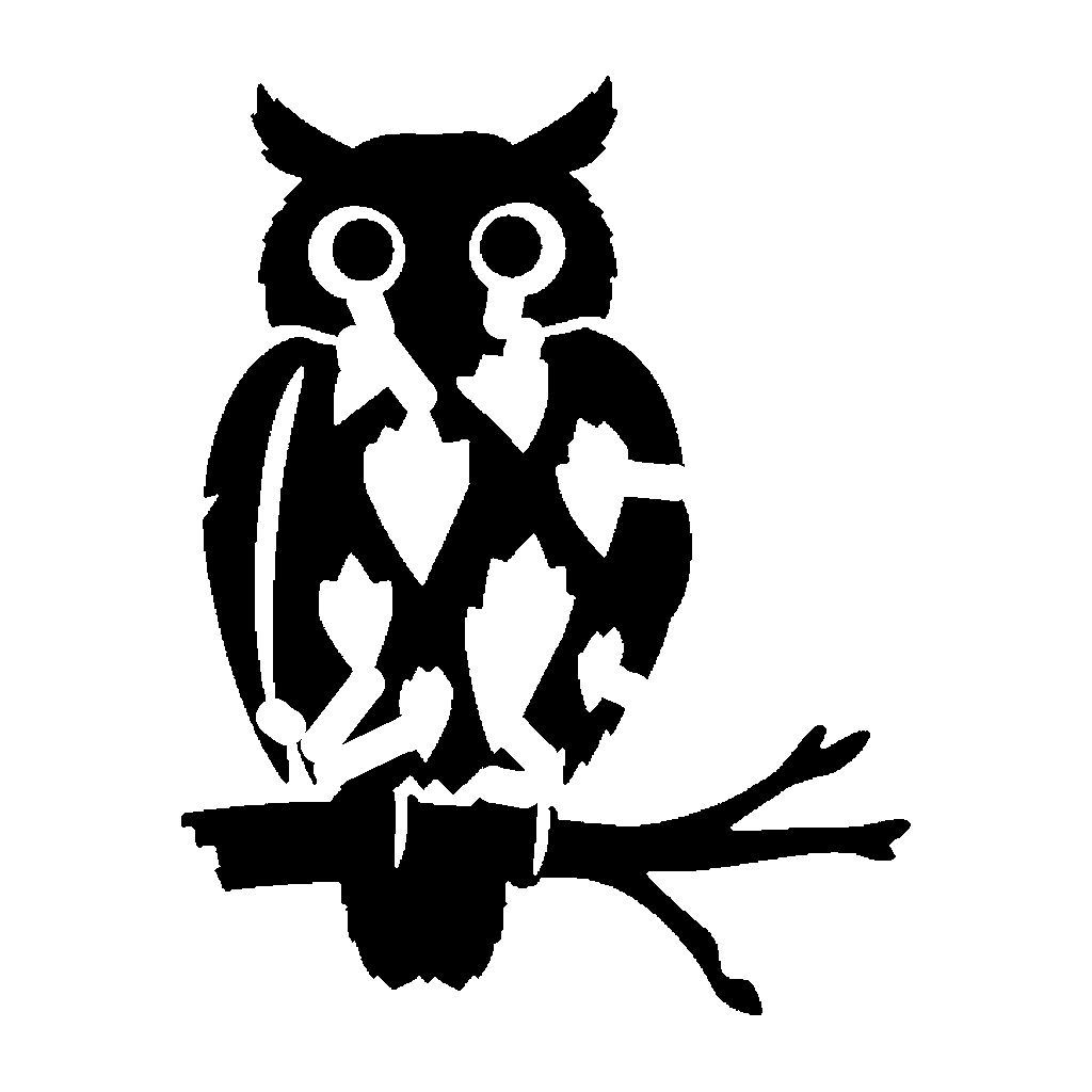 Owl pumpkin carving stencil