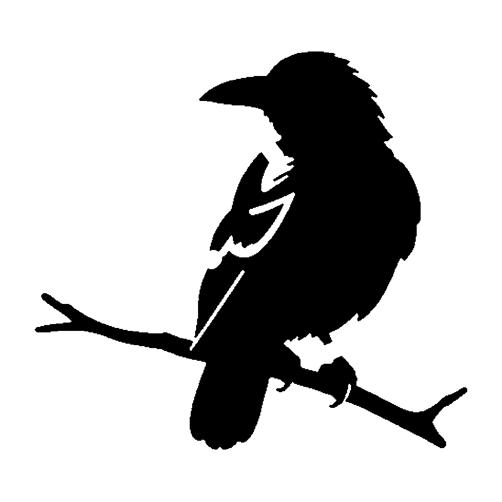 Raven pumpkin carving stencil