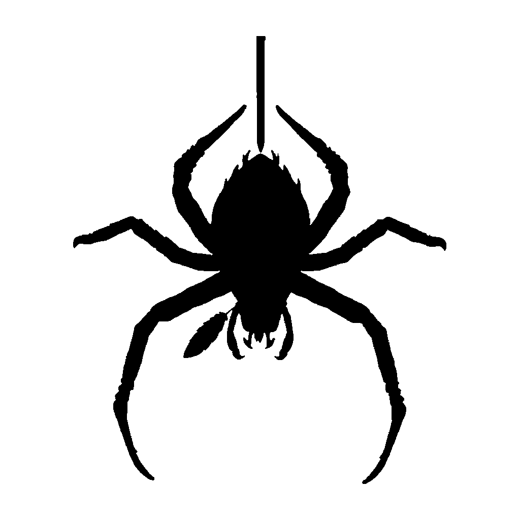Spider pumpkin carving stencil