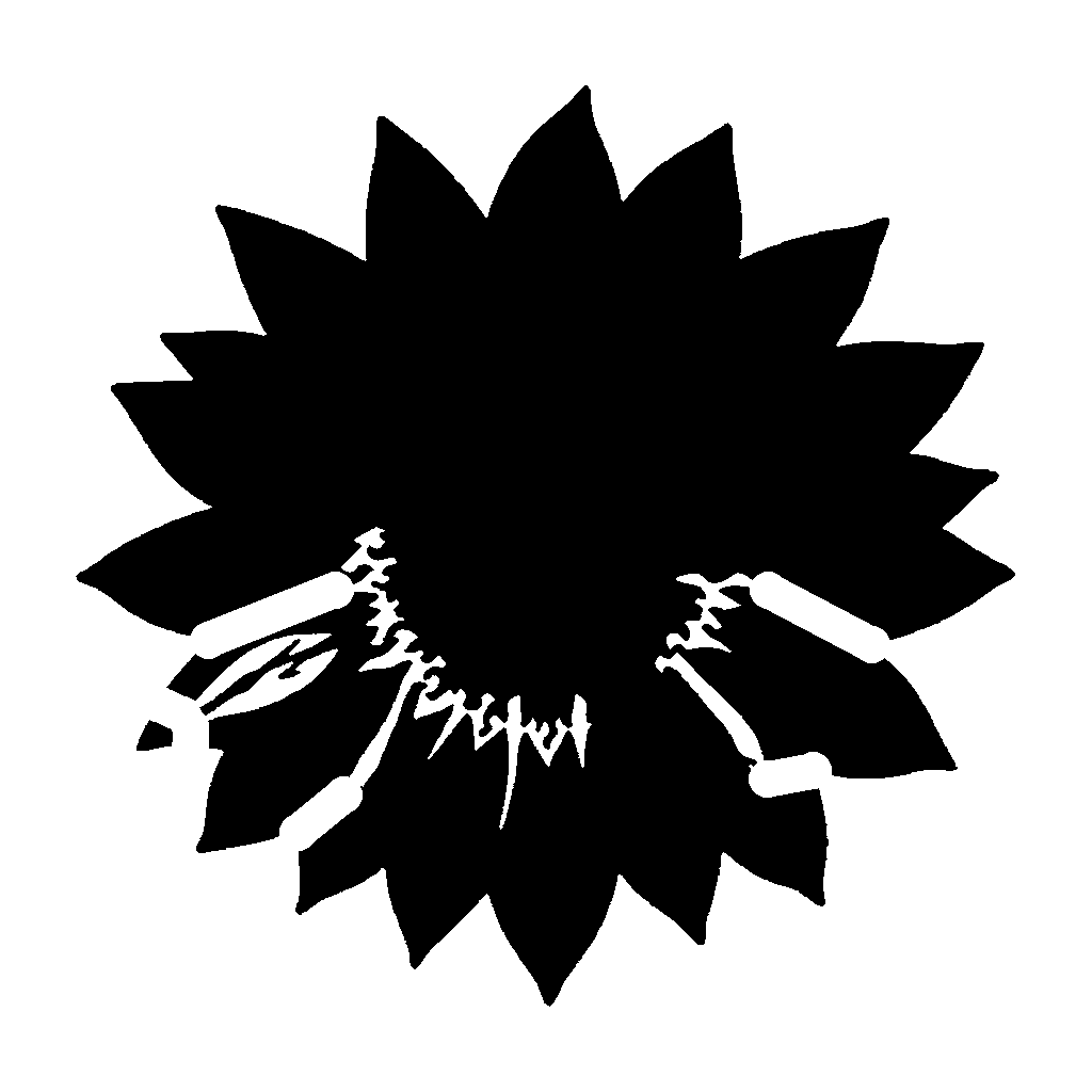 Sunflower pumpkin carving stencil